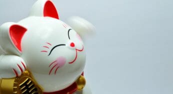 事業継承者必見の融資制度「事業継承・集約・活性化支援金」を徹底解説！